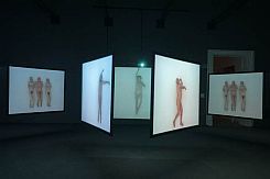 Katarzyna Kozyra, "Rite of Spring, video installation, 1999-2002. Courtesy of the Zachęta National Gallery